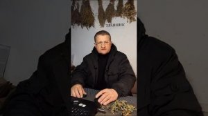 Лапчатка белая - полезные свойства.