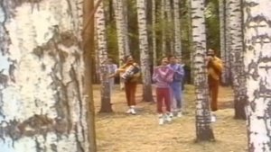 А я лягу прилягу (Вы шумите, березы) Сябры 1983 #shortsvideo #сс?