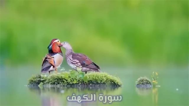Сура Кахф – сегодня это сунна! Обязательно слушать! Оч