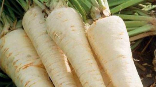 Як і коли сіяти Петрушку, щоб вона швидко зійшла? Порад смотреть онлайн