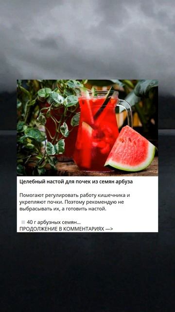 Целебный настой для почек из семян арбуза смотреть онлайн