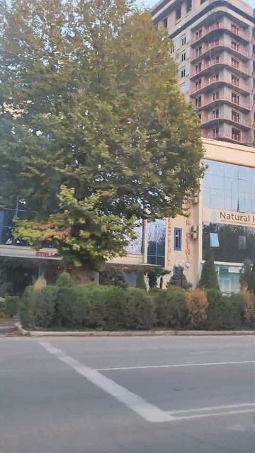 Ташкент .Цветы. Кустарники.#Алматы.#Ташкент.#Нукус.(1) смотреть онлайн