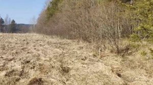 Продажа участка 24.9 сотки в Карелии на берегу Ладоги