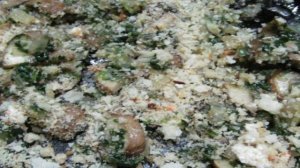 Рулет из свиной лопатки с начинкой