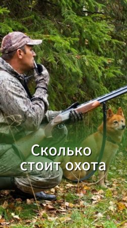 Сколько стоит охота в 2025. Подборка цен охотхозяйств Перми от Николая Середы (бывший нач Пермохоты