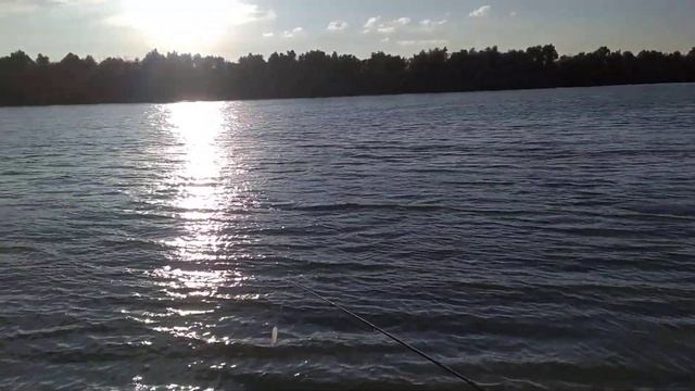 Рыбалка и отдых на турбазе Касатка на Дону смотреть онлайн