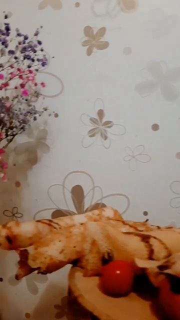 Прододжаем печь блинчики с различными начинками смотреть онлайн