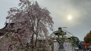 КИОТО апрель 2025 г.