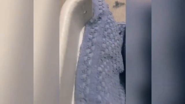 Школьница из Благовещенка изобрела кошкомойку (видео)
