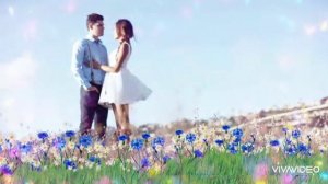 💙💙💙 РАСЦВЕЛИ ВОЗЛЕ ТИХОЙ РЕКИ ВАСИЛЬКИ , ВАСИЛЬКИ ,