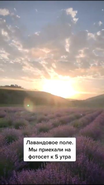 Маленькая Франция в России #лавандовоеполе#лаванда#ан