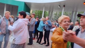 Моя 🎸 гитара..... 08.05.25.