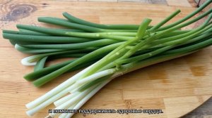Чем полезен зеленый лук?