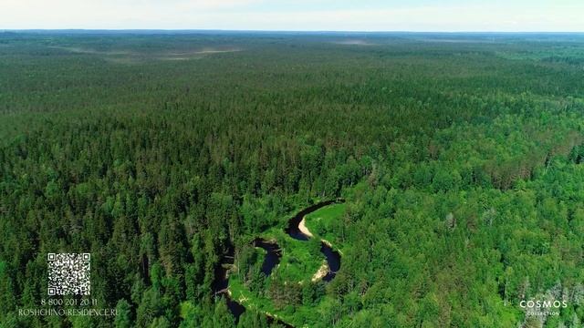 Рощино Residence. Окружение: Линдуловская роща