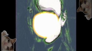 Егор Летов - Человек человеку волк (Mr. KotRus remix)