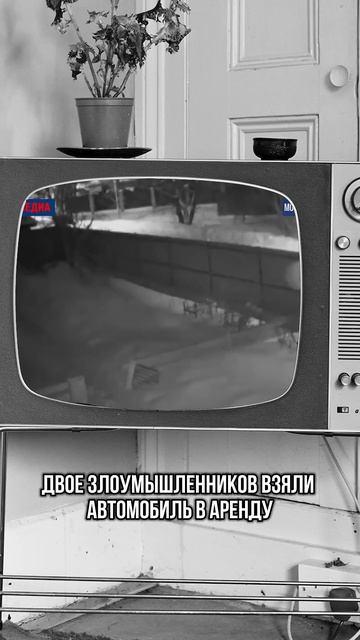 Дом будет под охраной, если ты сделал это на даче #Жизн?