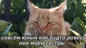 МОЯ СВЕКРОВЬ СКАЗАЛА: «ЭТОТ РЕБЁНОК НЕ МОЖЕТ БЫТЬ НАШЕ