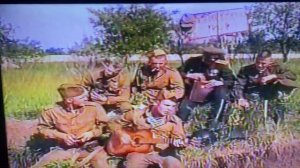 Армейская песня по гитару-Белая береза #армейскаяпесн