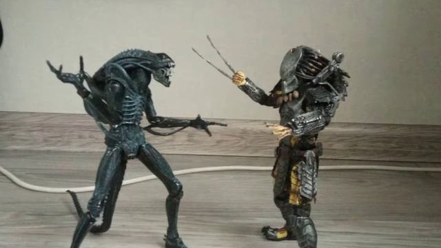 Тест Stop motion анимация