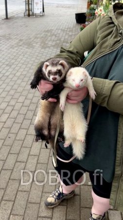 Уверенность