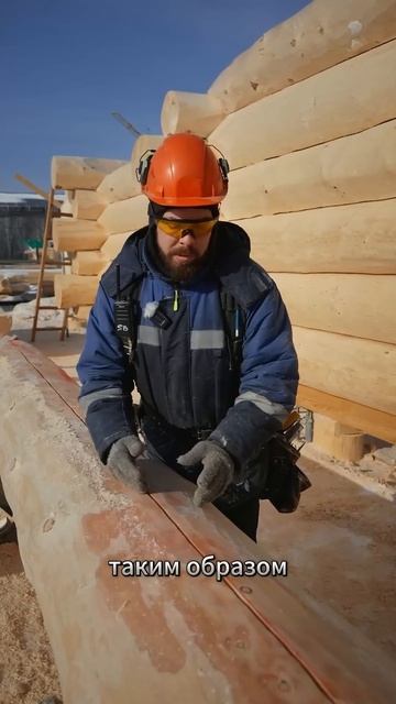 Спасаем бревно от хаотичных трещин | #shorts смотреть онлайн