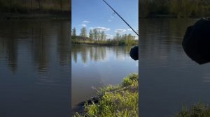 Большой водоем 8 мая.mp4