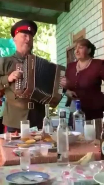 ...п р и с м о т р и с ь#любовь #duet #любимпеть #песня #гармо?