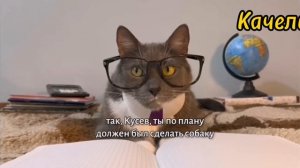 Котинет серия "БЯБЯделки" телеканал "Качели"