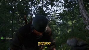 ГДЕ НАЙТИ ВОРОНИЙ ГЛАЗ И БЕЛАДОННУ В ЛЕСУ Kingdom Come Deliveranc