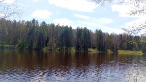 Экскурсия по санаторию Ува и по лесу