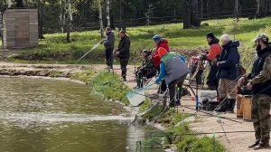 Утренние поимки на водоеме