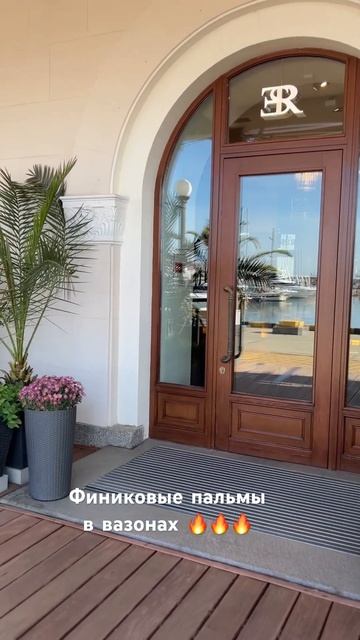 #ландшафтныйдизайн #финиковаяпальма #цветыввазонах #п