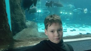 ПУТЕШЕСТВИЕ в МОСКВАРИУМ