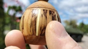 Шкатулка в парке Победы