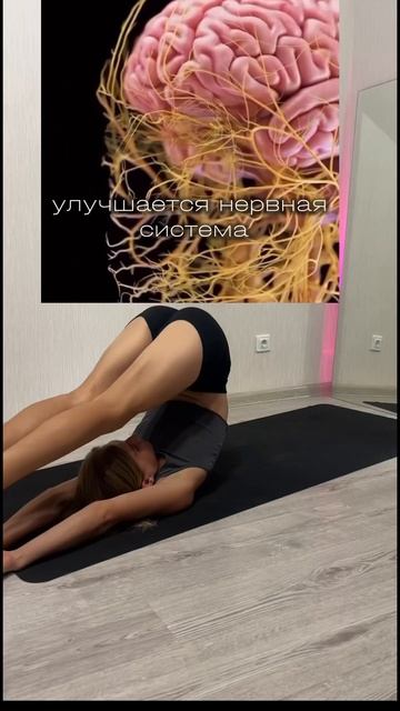 Плуг без грыжи#йога#здоровье#тренировки#фигура#yoga#sport#? смотреть онлайн