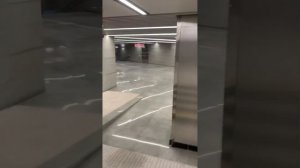 Обзор пересадки на станции Новомосковская с Троицкой