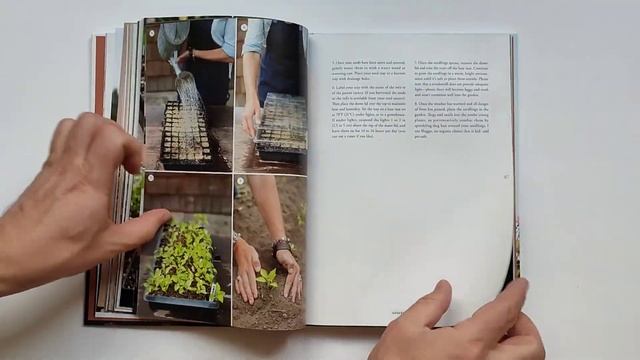 Книга Floret Farm`s Discovering Dahlias: A Guide to Growing and Arranging Magnificent Blooms