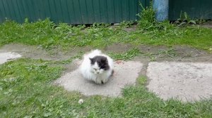 Продолжение космической саги