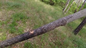 Обзор на испанский топор Bellota