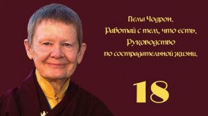 Пема Чодрон. Работай с тем, что есть. Руководство по со?