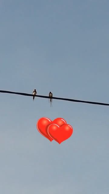 Первые Ласточки прилетели 👍 смотреть онлайн