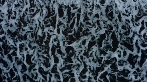 Красные - красные Лисицын & Михаил Круг