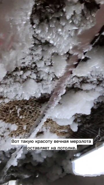 как выглядит вечная мерзлота #якутия