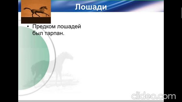 Биология 6 класс Одомашнивание животны