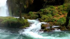 Любовь одна !!!