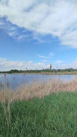 Донбасс арена с другого берега