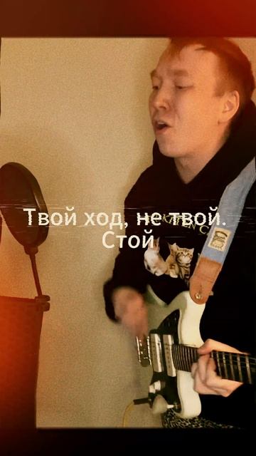 Как это вы не слышали? Кактус Вандерлуст - Галифакс, на