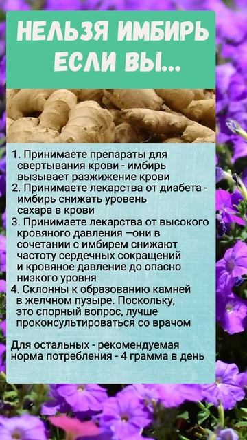 Имбирь.. полезно знать смотреть онлайн