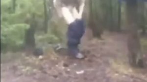 чел срет в лесу