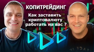 BingX, BYBIT | КАК ЗАРАБАТЫВАТЬ НА КОПИТРЕЙДИНГЕ USDT❓  ДОХОД +120% | Фьючерсы